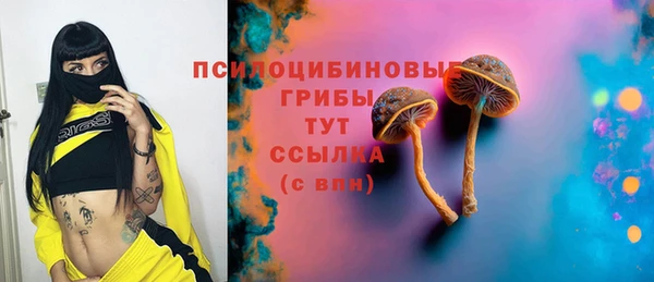прущая мука Надым