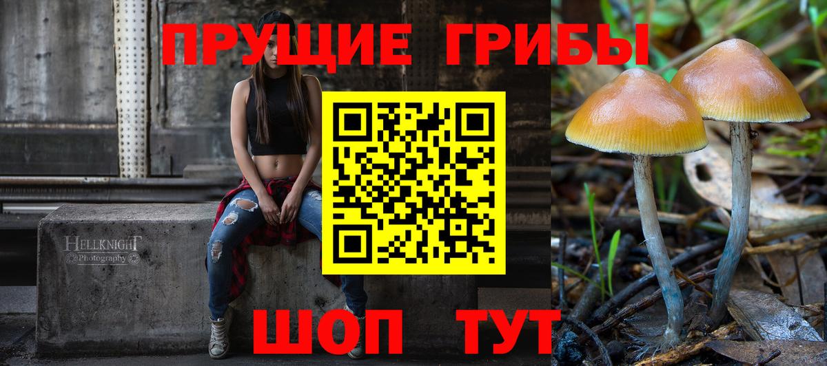 Челябинск  Псилоцибиновые грибы мухоморы  Вход с VPN  Галлюциногенные грибы прущие грибы 