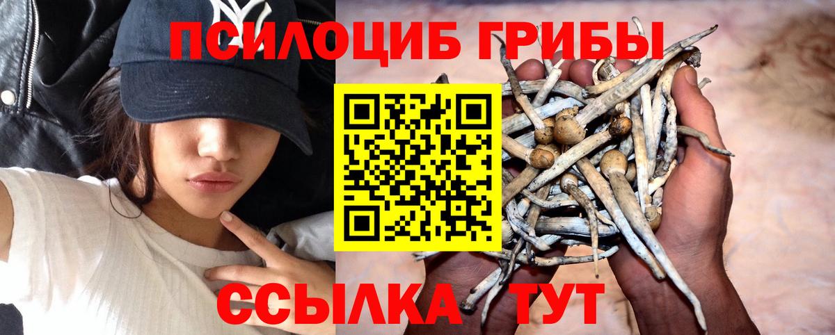 Псилоцибиновые грибы Челябинск