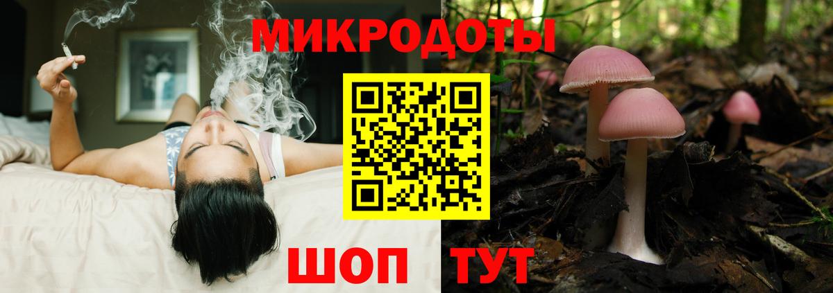 Псилоцибиновые грибы GOLDEN TEACHER  Челябинск 