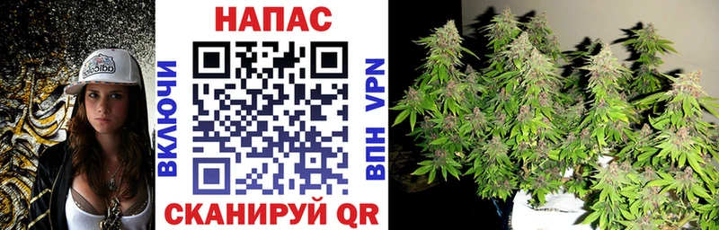 где купить наркотик  blacksprut сайт  Канабис White Widow  Челябинск 